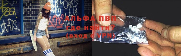 шишки Краснотурьинск