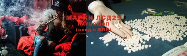 шишки Краснотурьинск